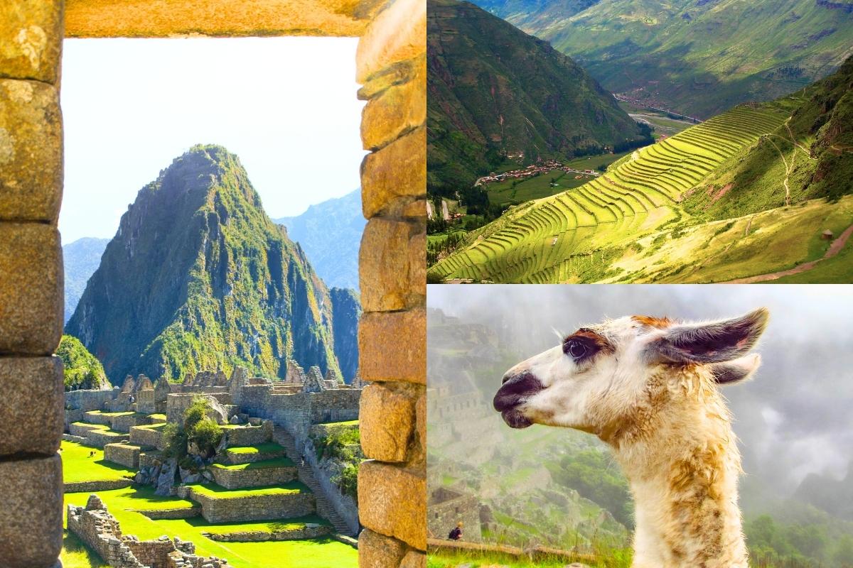 Machu Picchu | Peru | Alpaca