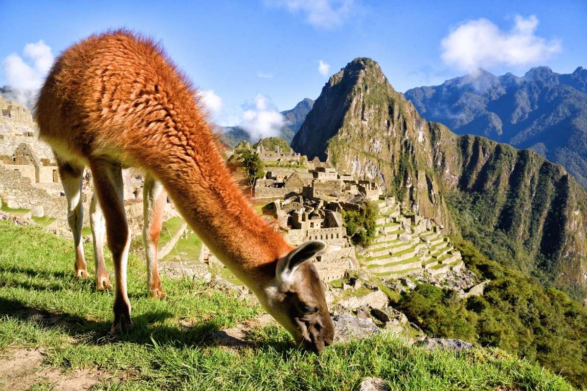 Machu Picchu | Peru