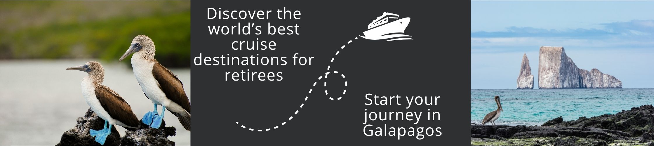 Come and visit Galapagos with us!