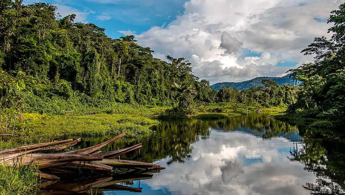 Manu National Park | Peru