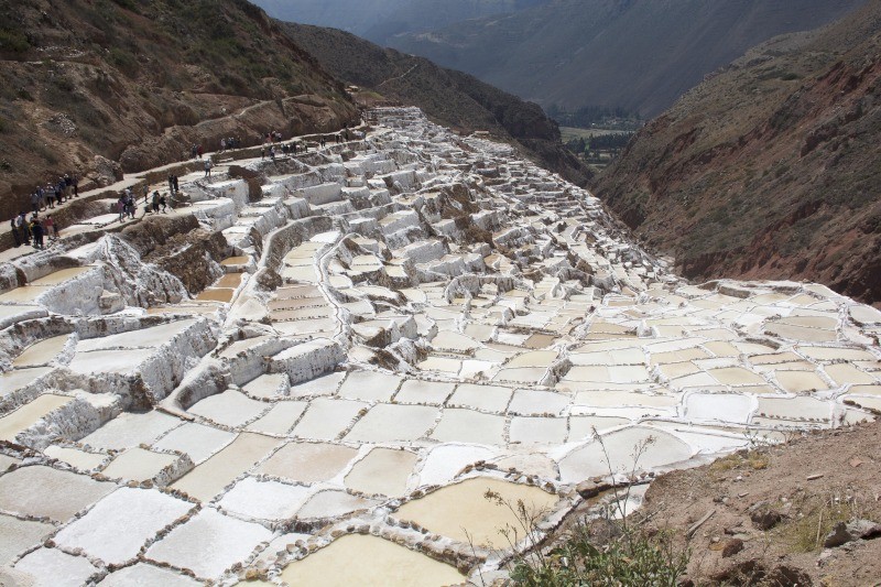 Maras Salt Mines, Cusco