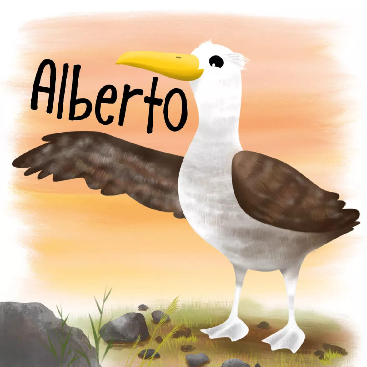 Meet Alberto the waved albatross