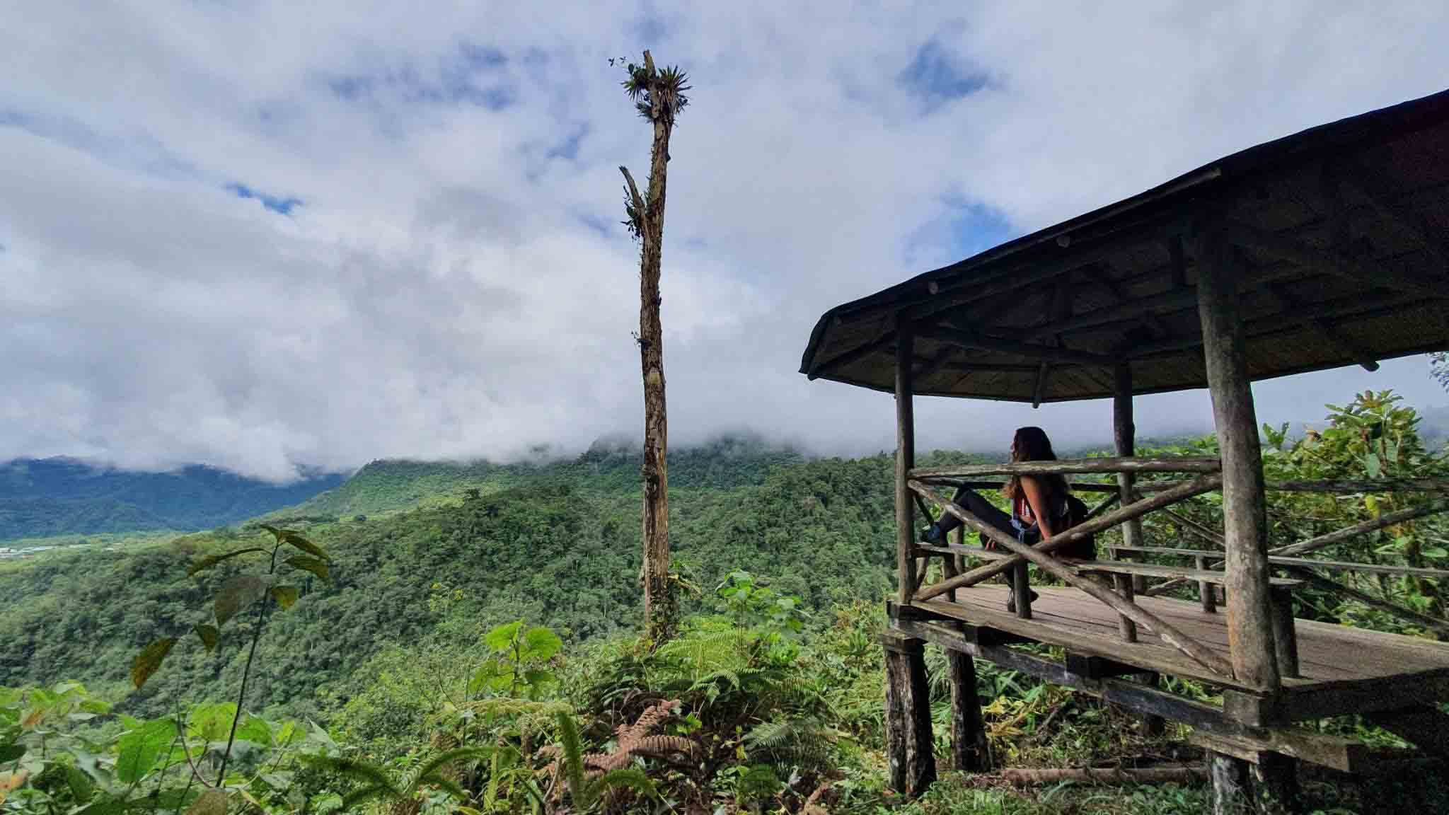 The Yellow House viewpoint