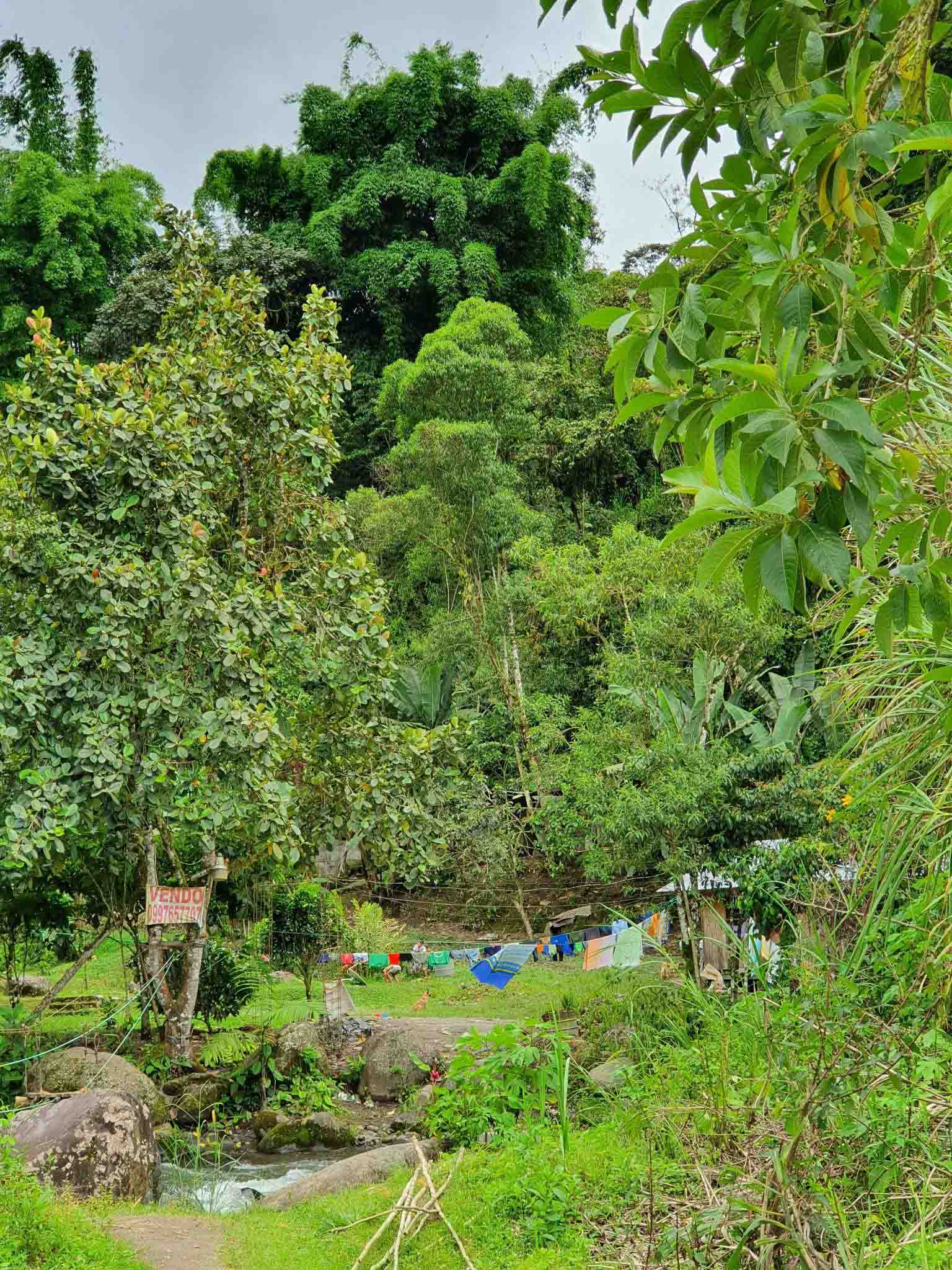 The Butterfly Farm