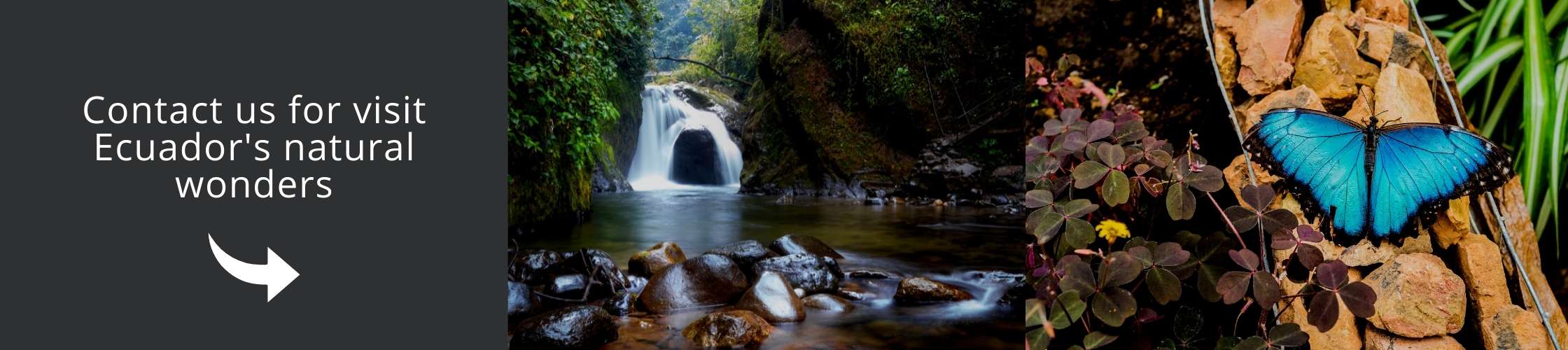 Ecuador tours | Mindo