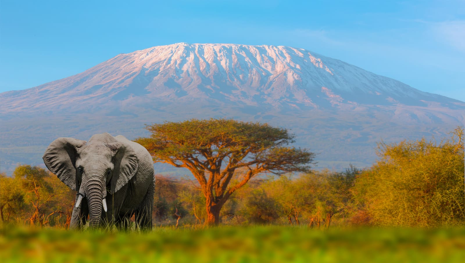 Mount Kilimanjaro, Tanzania