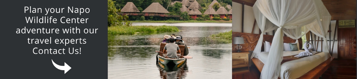 Napo Wildlife Center | Amazon | Ecuador