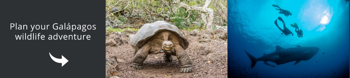 Tours Galapagos