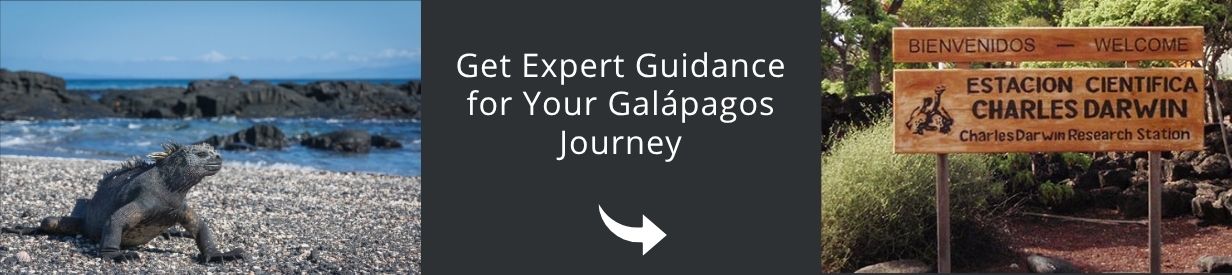 Come and visit Galapagos with us!