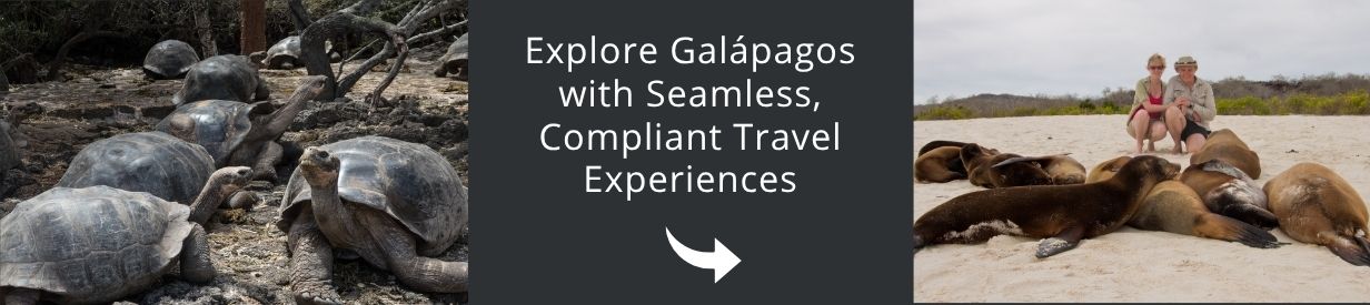 Visit Galapagos