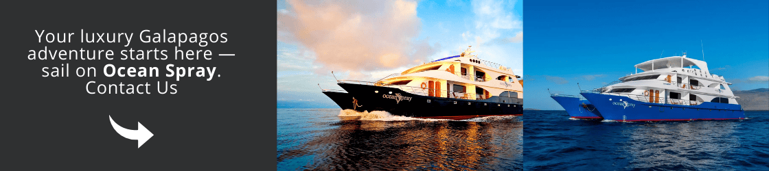 Come and visit us on the Ocean Spray!