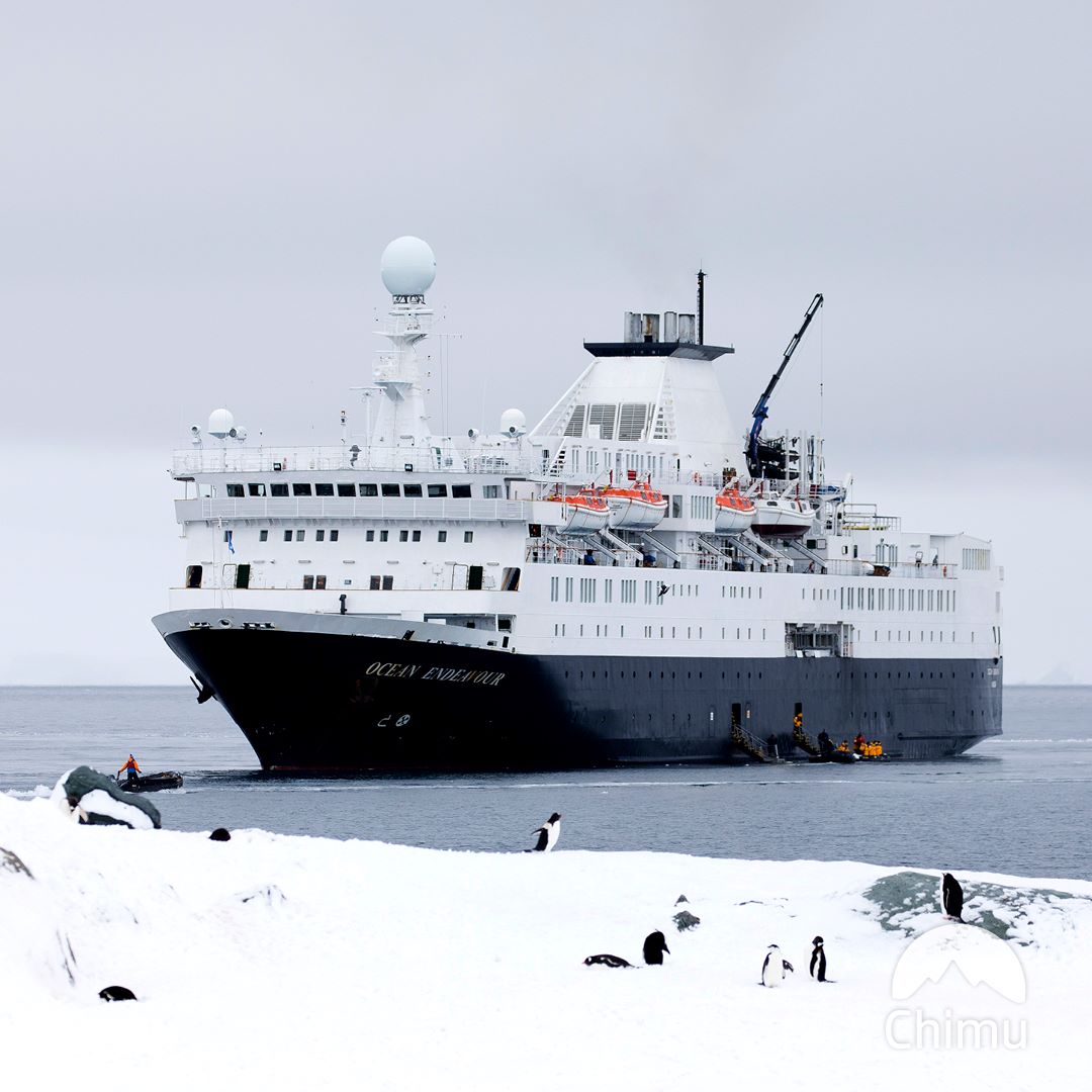 Ocean Endeavour ship in Antarctica - Chimu Adventures