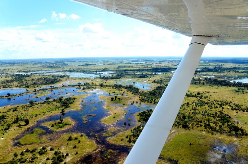 Okavango Delta | Africa