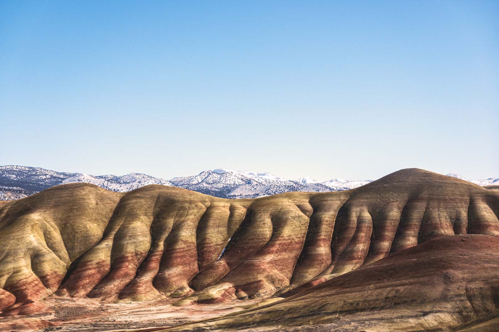 Painted Hills | USA