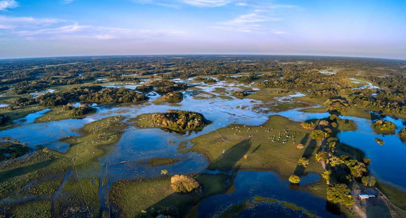 Pantanal Conservation Area | Brazil
