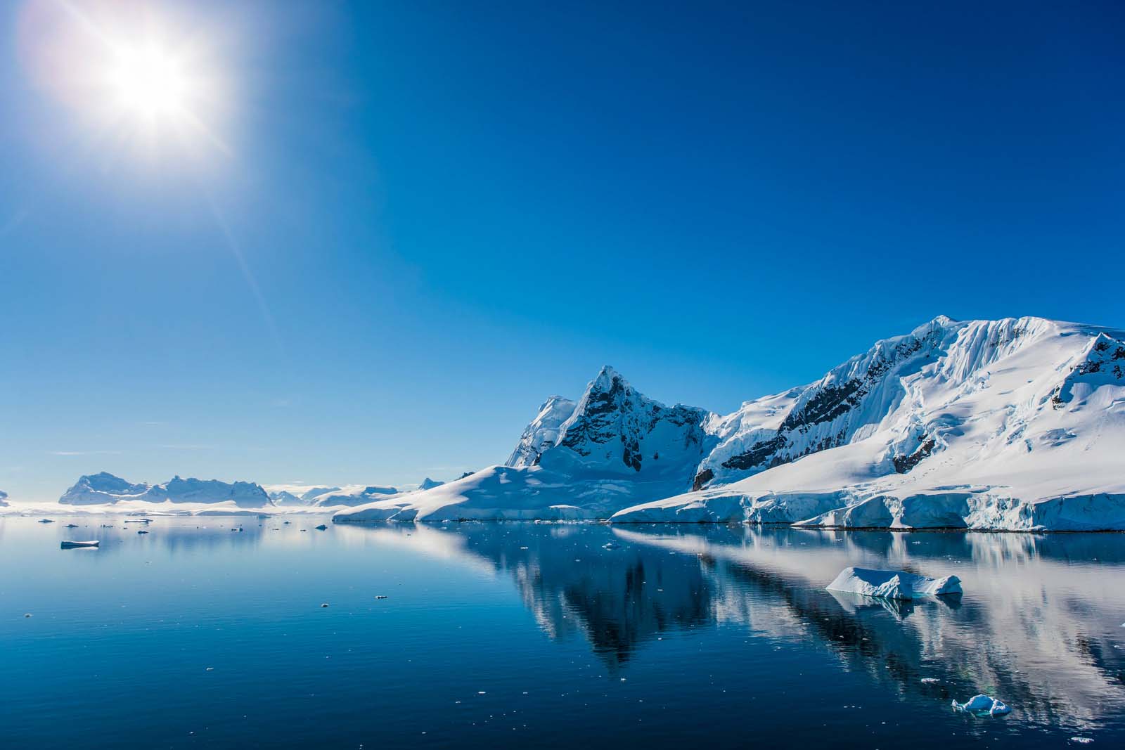 Paradise Bay | Antarctica