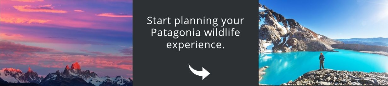 Come and visit Patagonia with us!