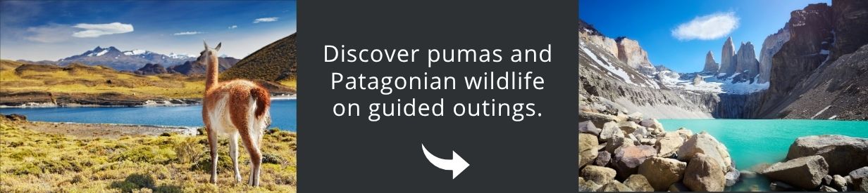 Visit Patagonia