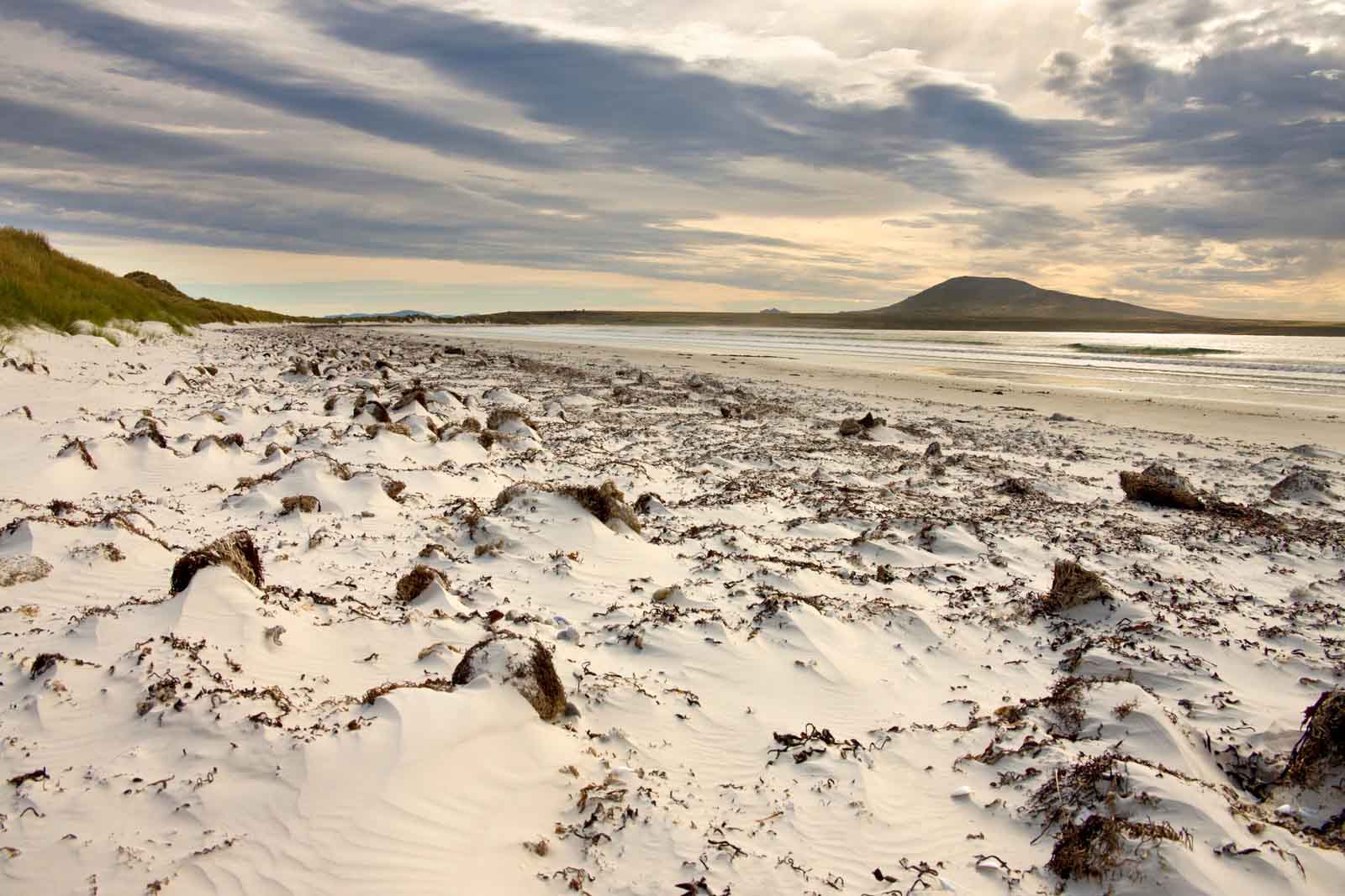 Pebble Island | Falkland Islands