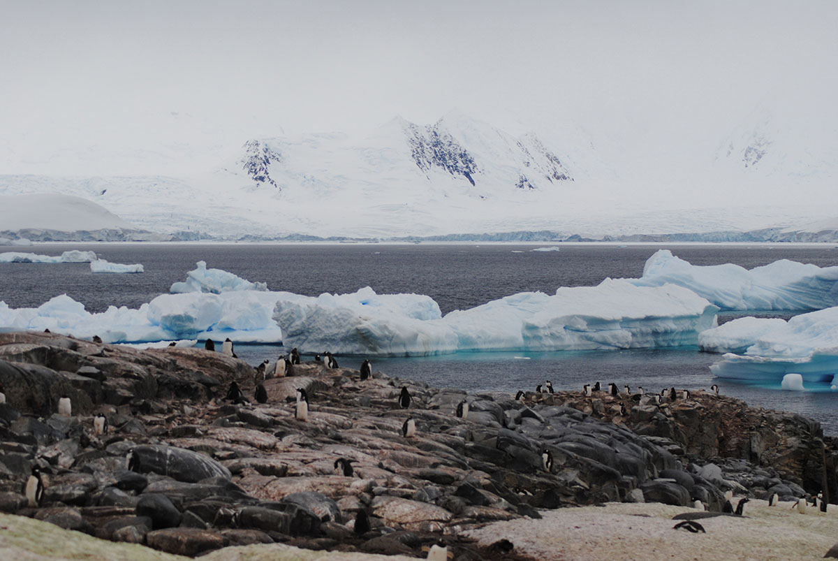 Petermann Island | Antarctica
