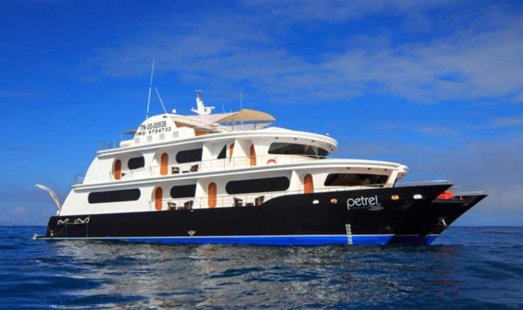 Petrel cruise
