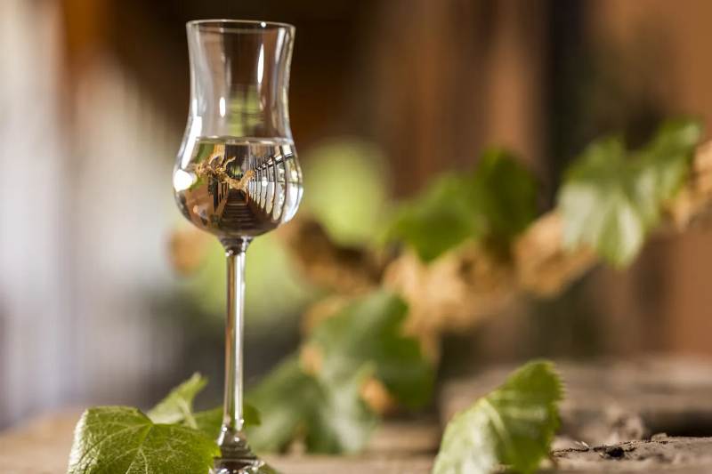 Glass of pisco