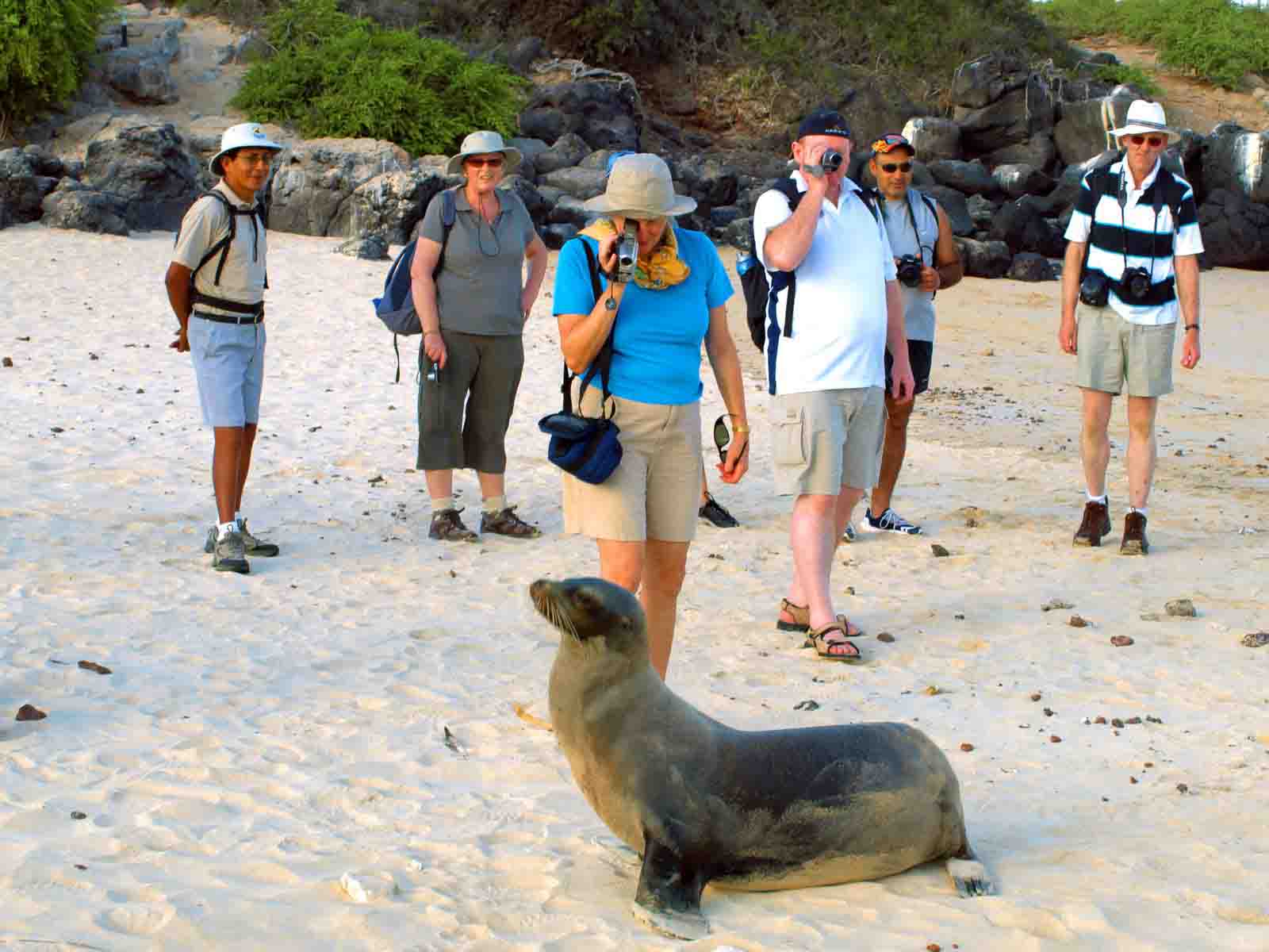Galapagos Islands Experience | Sea Lion