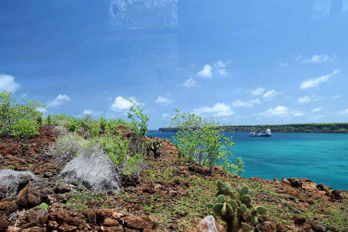 Puerto Ayora | Galapagos