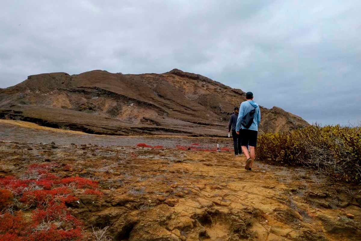 Pitt Point - Galapagos