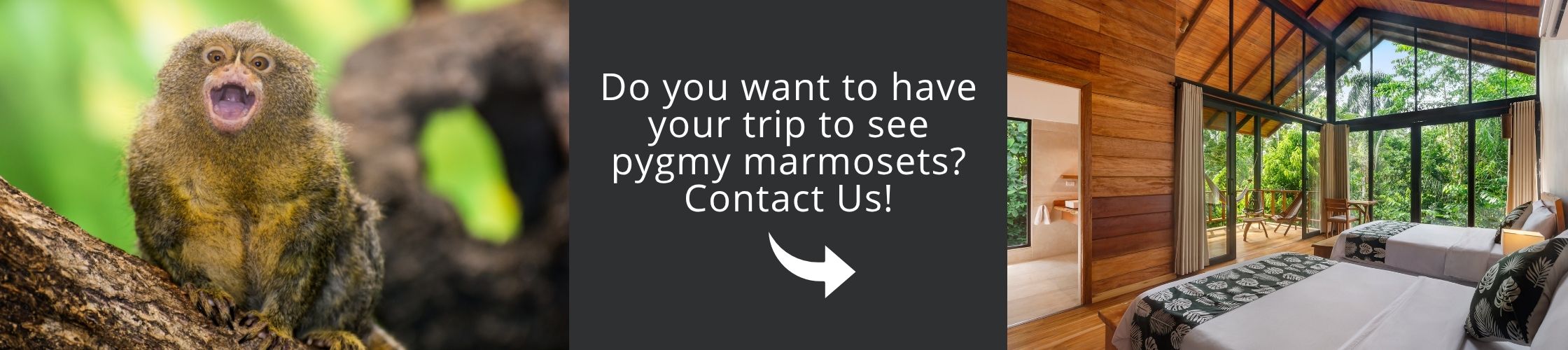 Come and visit Amazon with us!