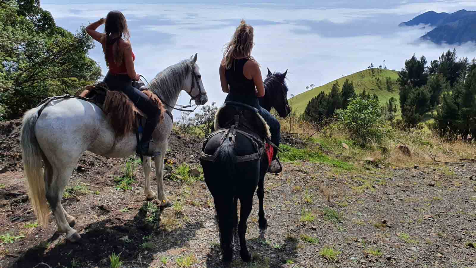 Quilotoa horses