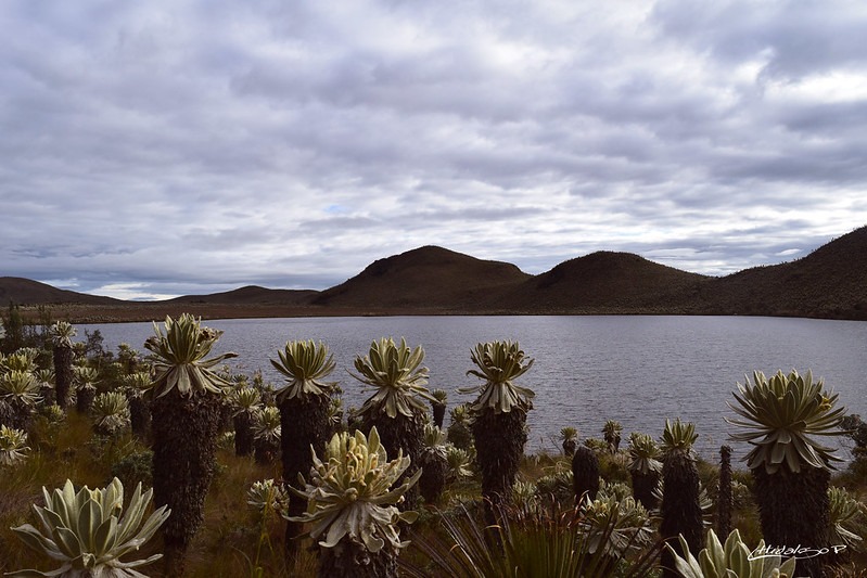 El Angel Ecological Reserve