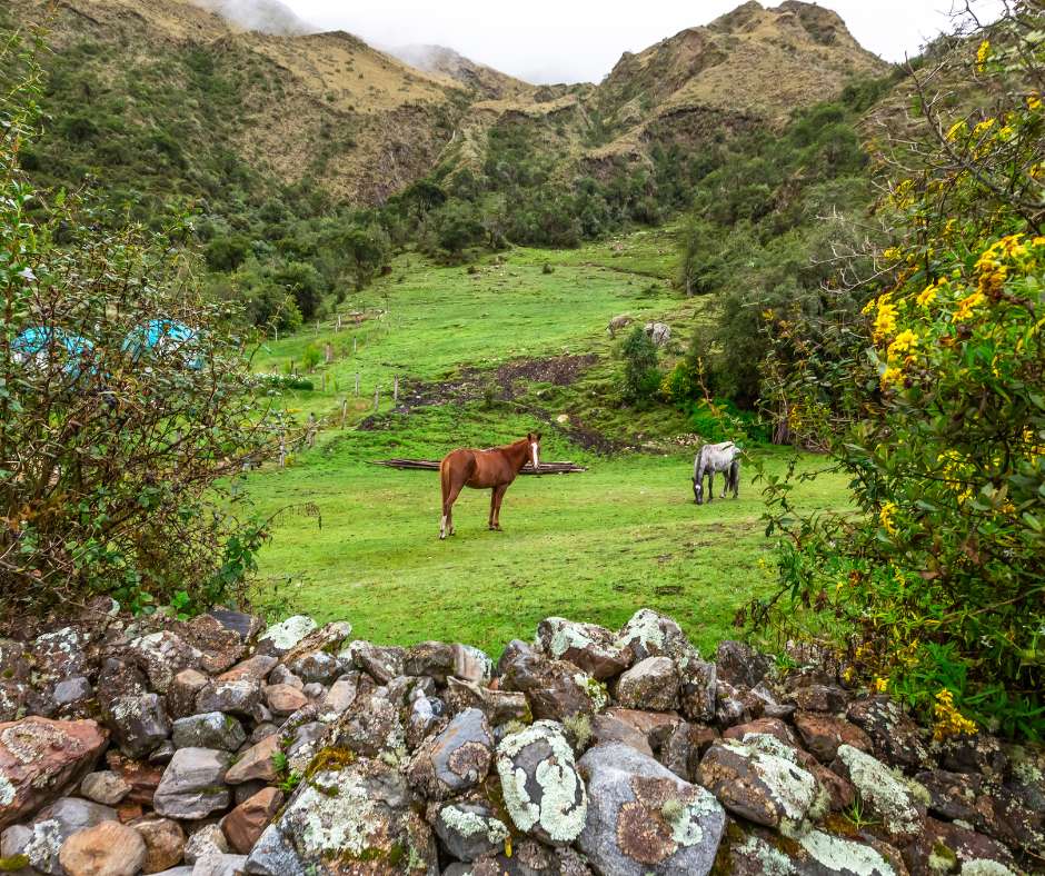 Salkantay - MaRabelo - gettyimages - Peru