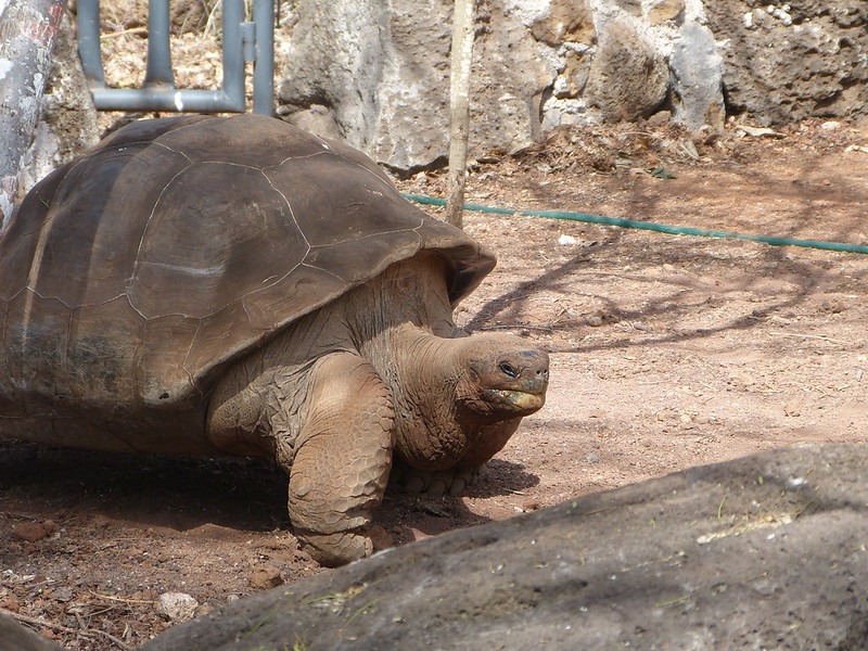 Interpretation Centre | Galapagos