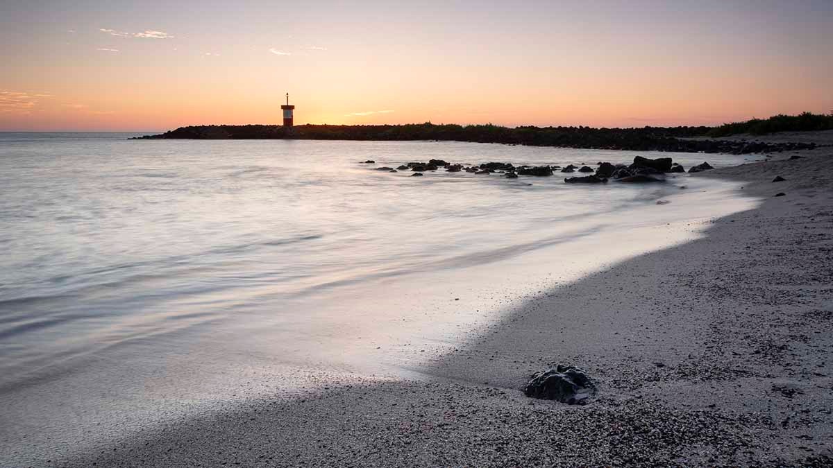 Discover Rare Wildlife & Volcanic Wonders in 4-nights | Eminence | Galapagos