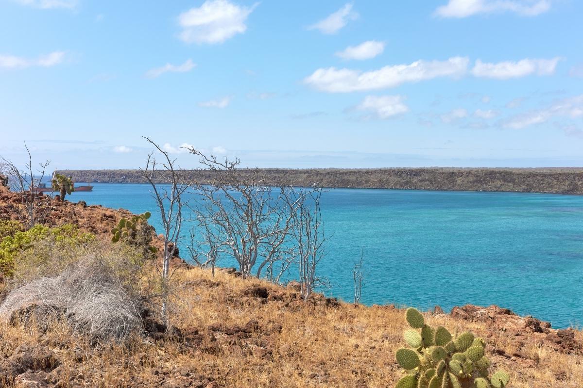 Galapagos | Santa Cruz | Finch Bay