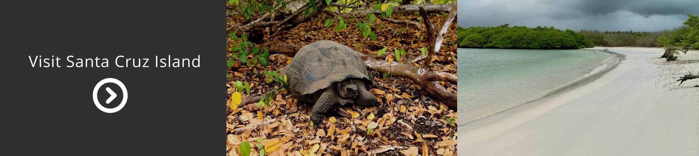 Visit Santa Cruz Island