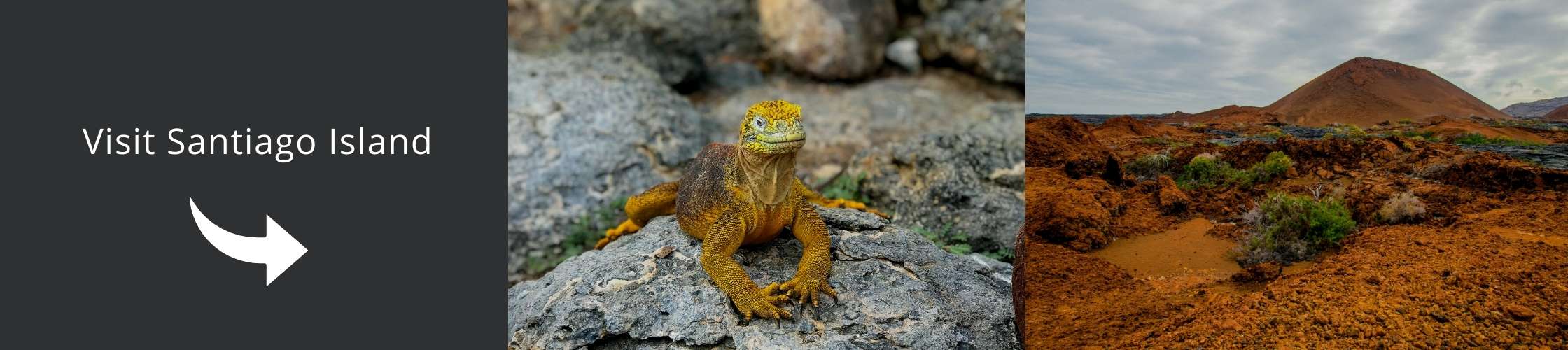 Visit Santiago Island | Galapagos