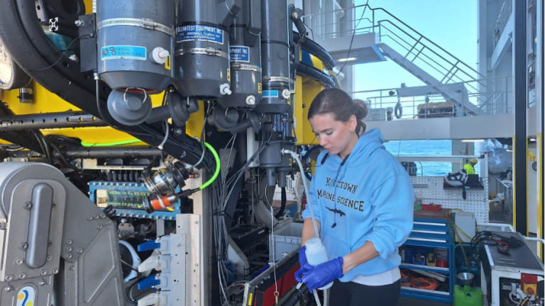 Memorial University doctoral student Sarah Moriarty removing seawater samples collected using the remotely operated vehicle Subastian from near the seafloor.