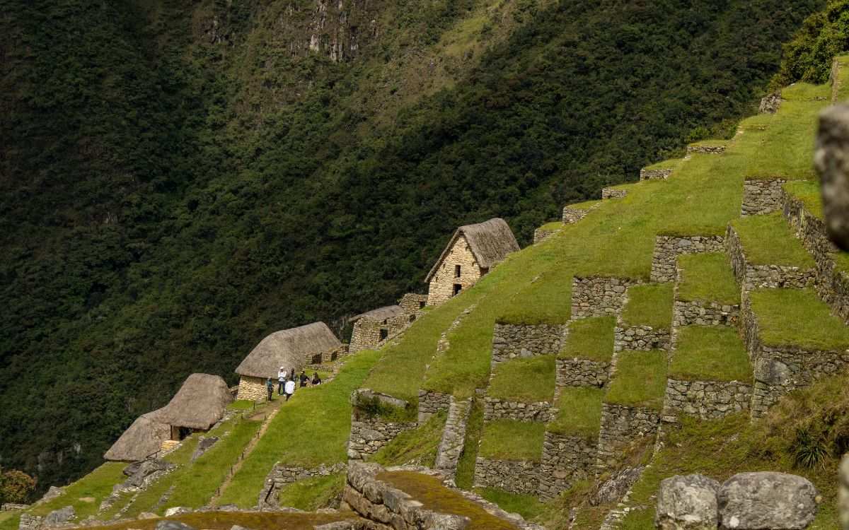 Scenic View of Machu Picchu's Ancient Terraces