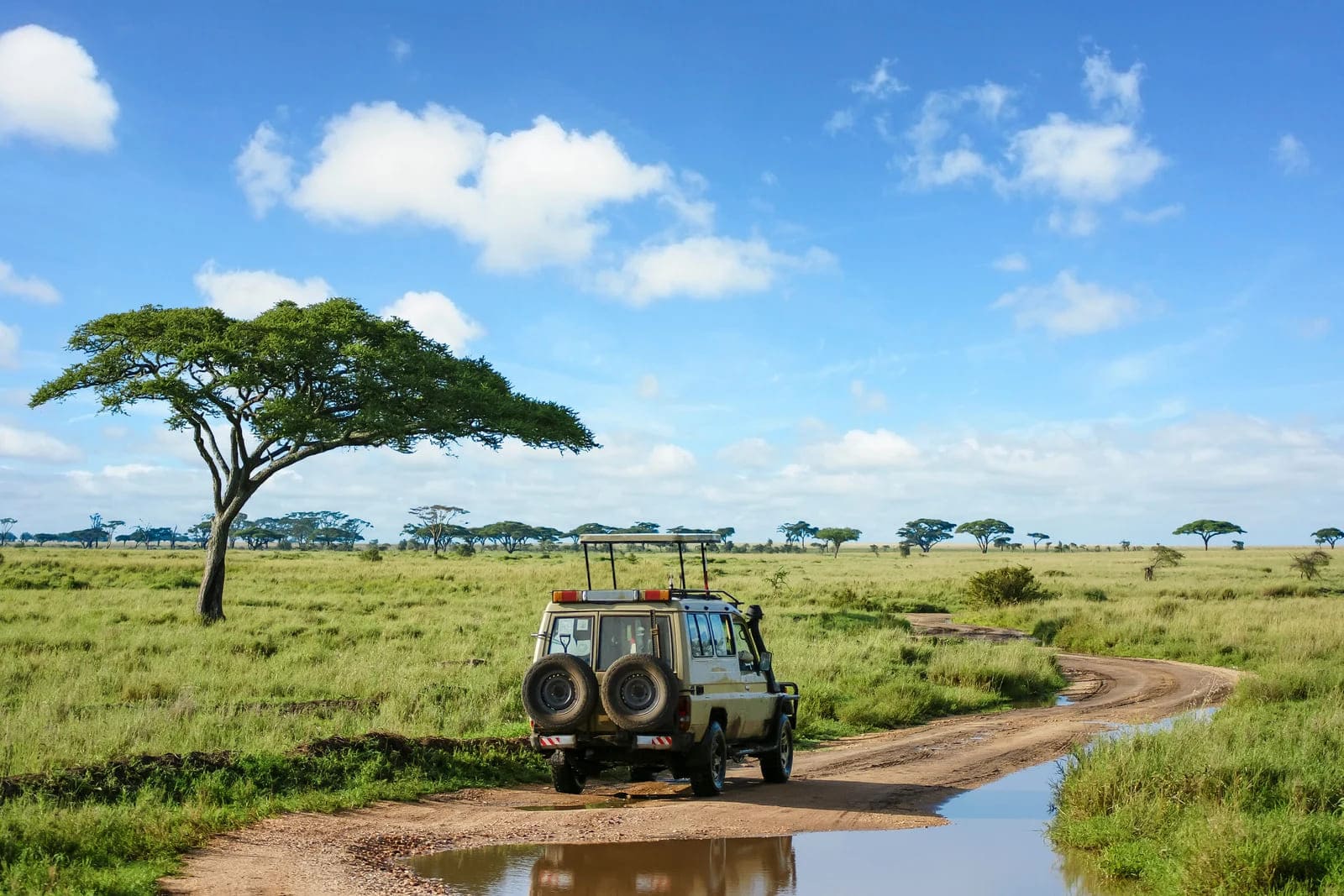 Srengeti | Africa