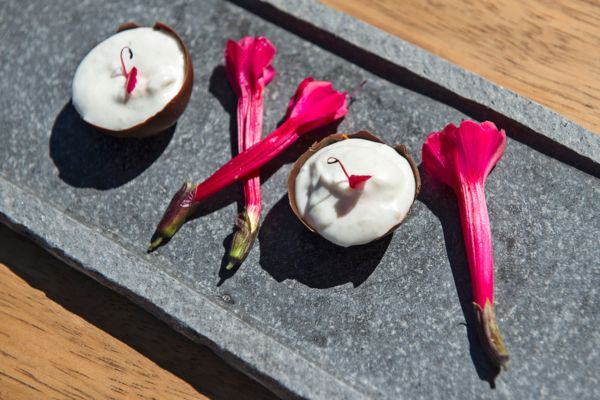 Silvia | Amantica Lodge | Peru