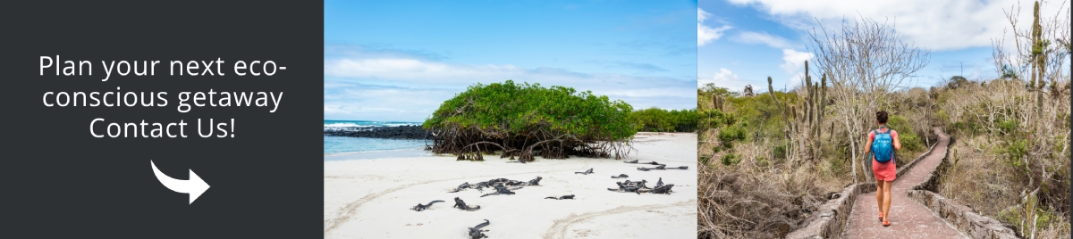 Come and visit Galapagos with us!