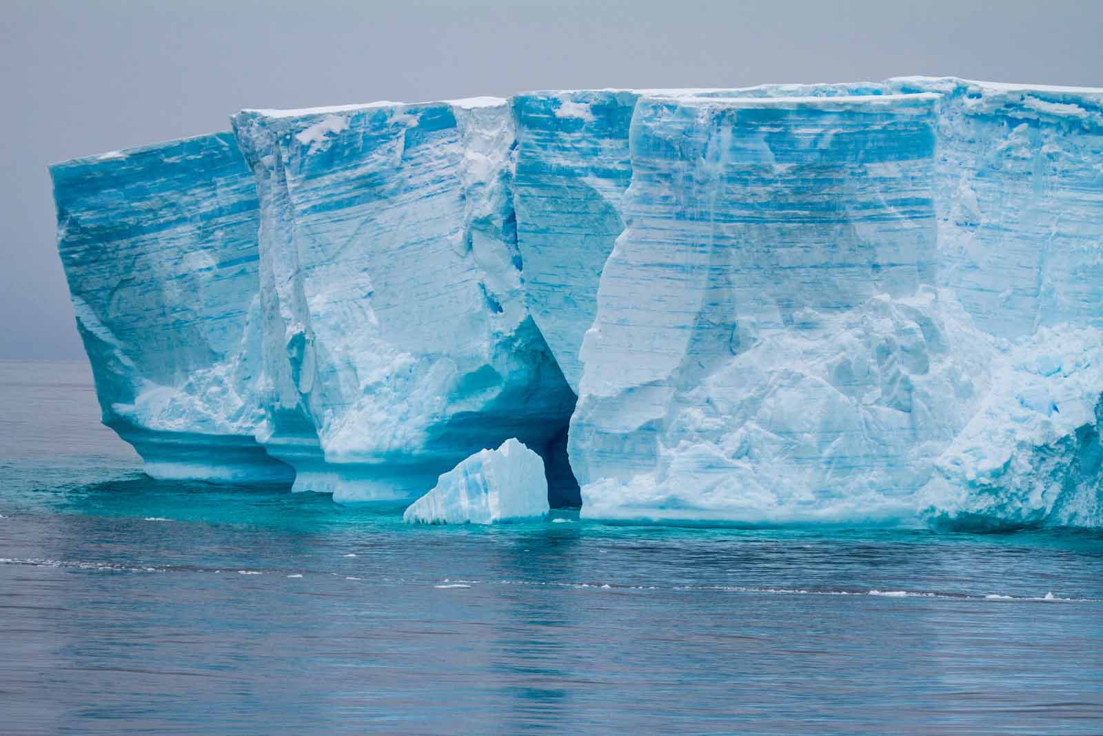 Tabular Iceberg | Bransfield Strait | Antarctica