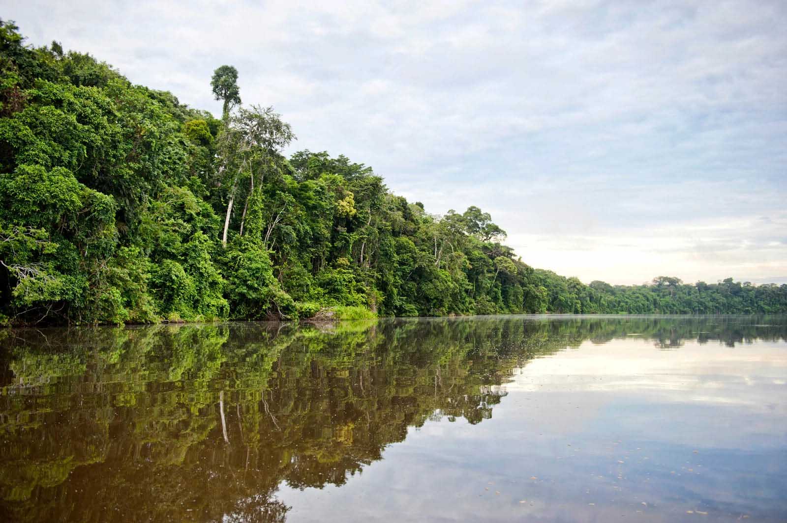 Tambopata Province | Peru | South America