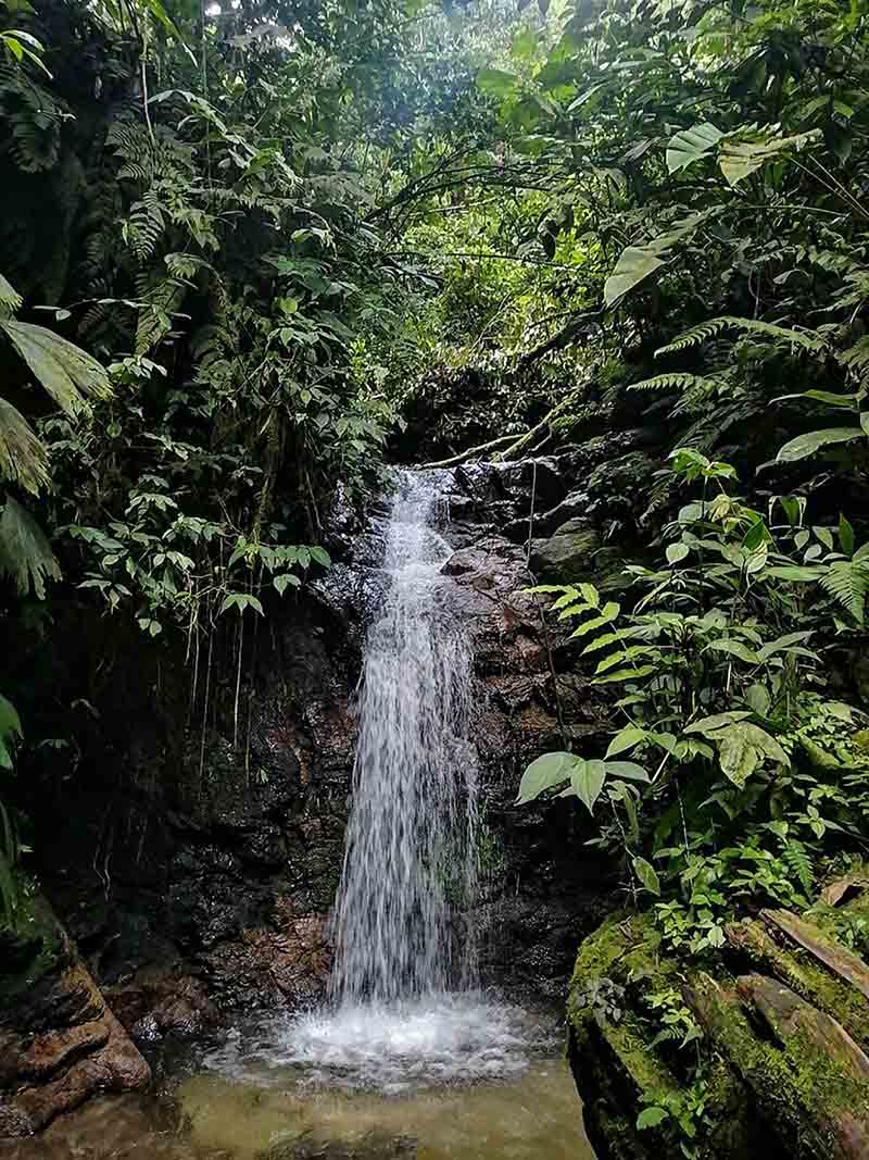 Tena - Ecuador