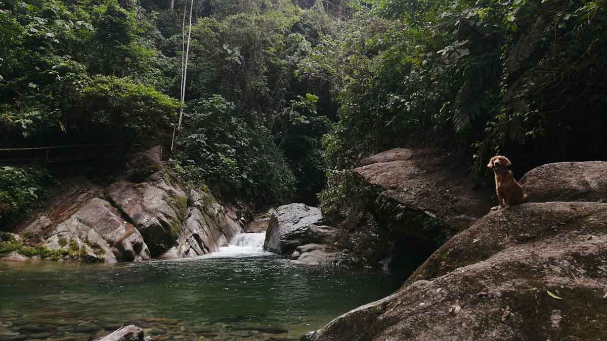 7 Cascadas - Tena Ecuador