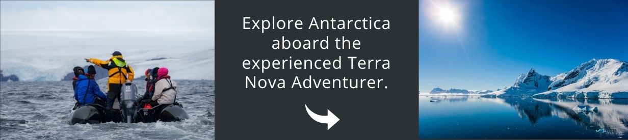 Visit Antarctica