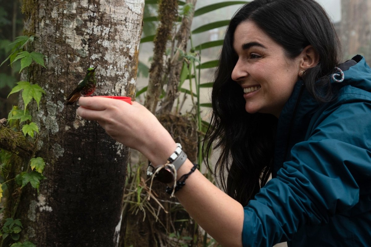The Chocó Andino | Ecuador