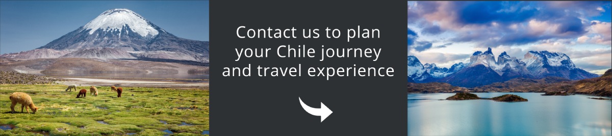 Come and visit Chile with us!